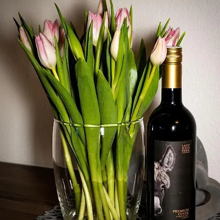 Steinmueller Apartman *