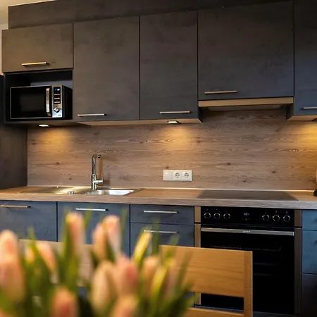 Apartman Steinmueller *