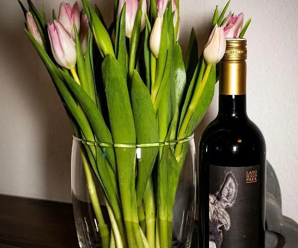 Steinmueller Lejlighed *