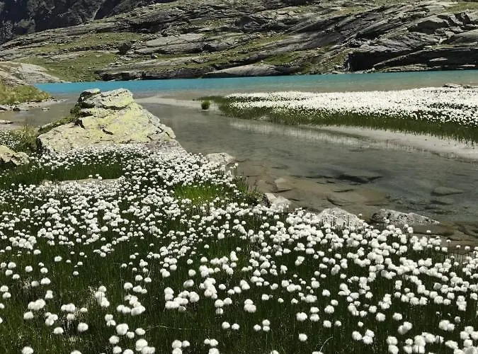 Steinmueller Längenfeld